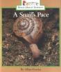 A Snails Pace