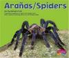 Aranas / Spiders : English Spanish