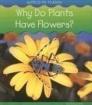 Why Do Plants Have Flowers?