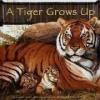 A Tiger Grows Up : OUT OF PRINT
