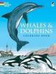 Whales & Dolphins Coloring Book