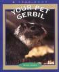 Your Pet Gerbil