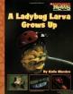 A Ladybug Larva Grows Up