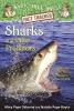 Sharks And Other Predators: A Nonfiction Companion To Magic Tree House #53 Shadow Of The Shark