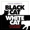 Black Cat, White Cat : A Pop-Up Opposites Book
