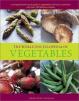 World Encyclopedia of Vegetables, The