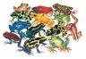 Rain Forest Frogs Floor Puzzle 