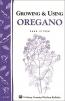 Growing and Using Oregano