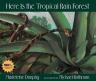 Here Is the Tropical Rain Forest