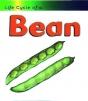 Bean (Life Cycle of a)  -- USE 1432925350 