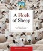 A Flock of Sheep: Animal Groups on the Farm