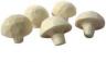 Mushroom Champagne Handcarved / Champignon 5 pcs #600549