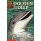 Animal Ark 22 : Dolphin in the Deep