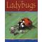 Ladybugs - OUT OF PRINT