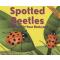Spotted Beetles: Ladybugs in Your Backyard