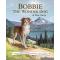 Bobbie the Wonder Dog: A True Story : OUT OF PRINT See New 9781513277387 