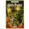 Harry Potter y la Camara Secreta = Harry Potter and the Chamber of Secrets (Spanish Edition)